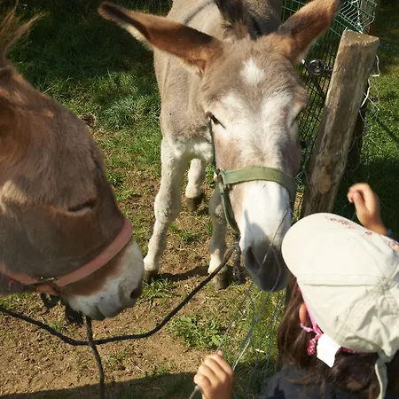 Vvf Haute Loire Haute Ardeche Kompleks wypoczynkowy Tence