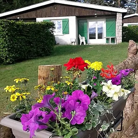 Vvf Haute Loire Haute Ardeche Tence